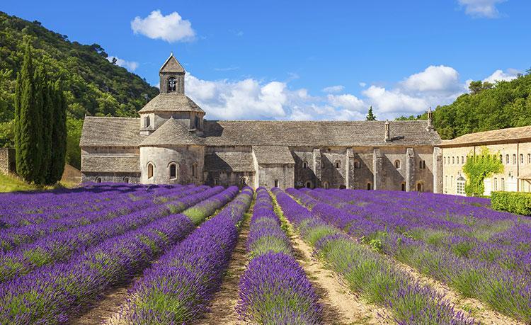 Le Mas Des Armouriers Violes Bagian luar foto
